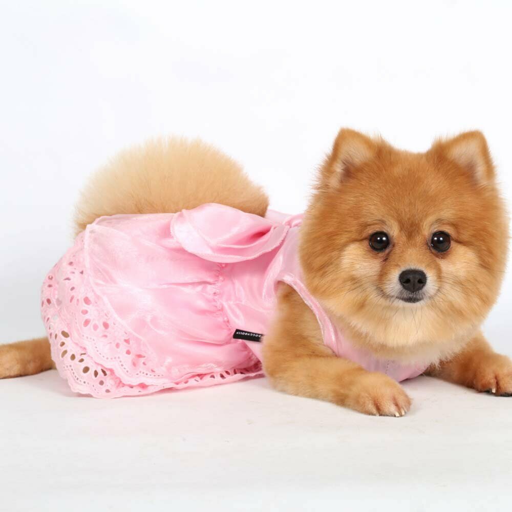 Pink Wedding Dress - Dog Wear