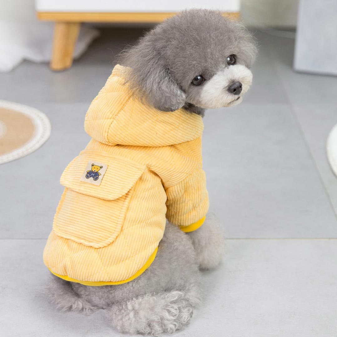 Warm corduroy dog jacket yellow with hood - Dog clothing