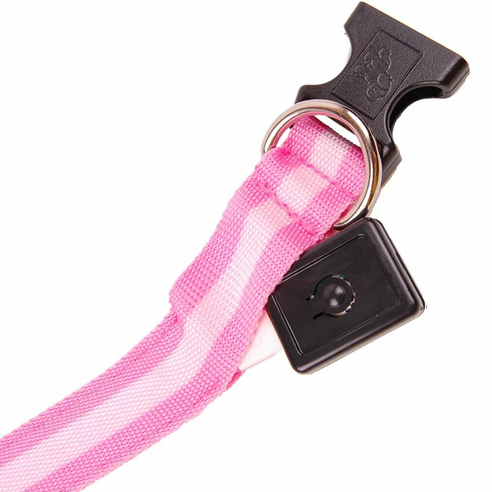 Luminous collars of GogiPet - Cheap collars with good quality pink