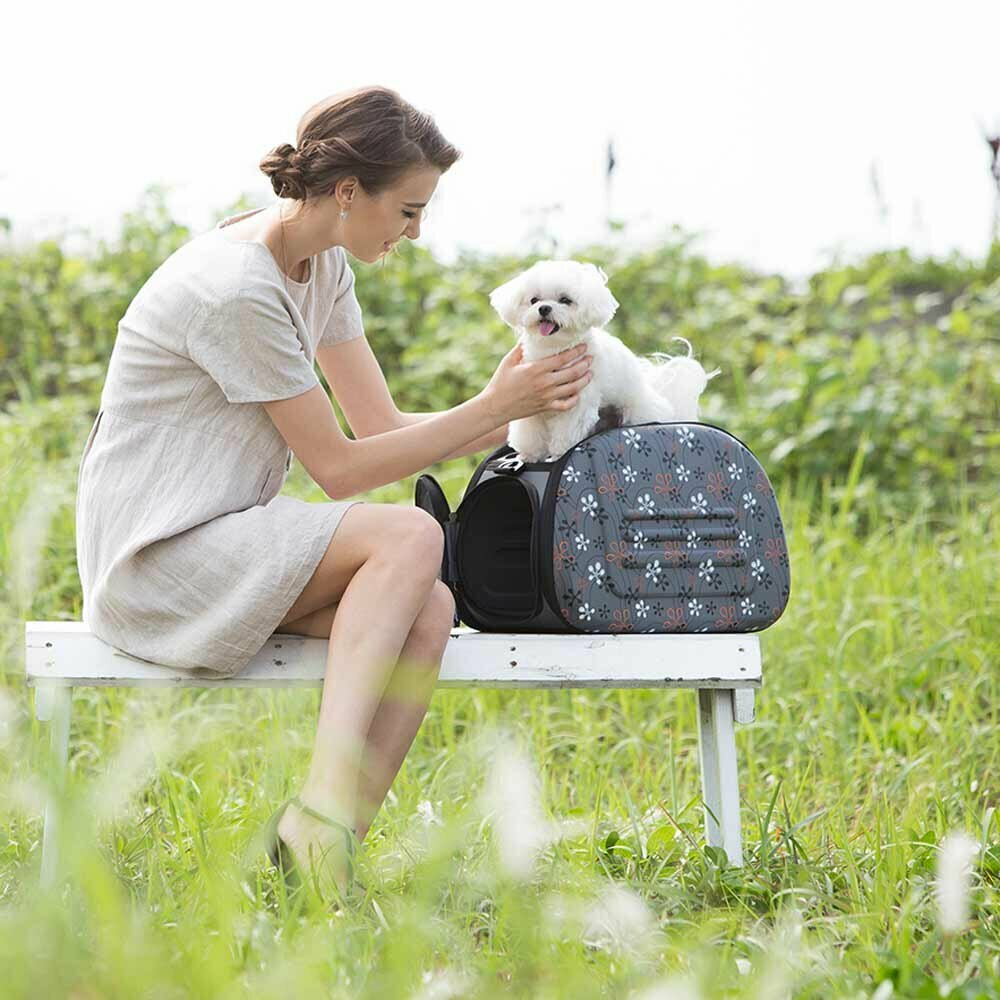 Fashionable dog carrier recommended by GogiPet