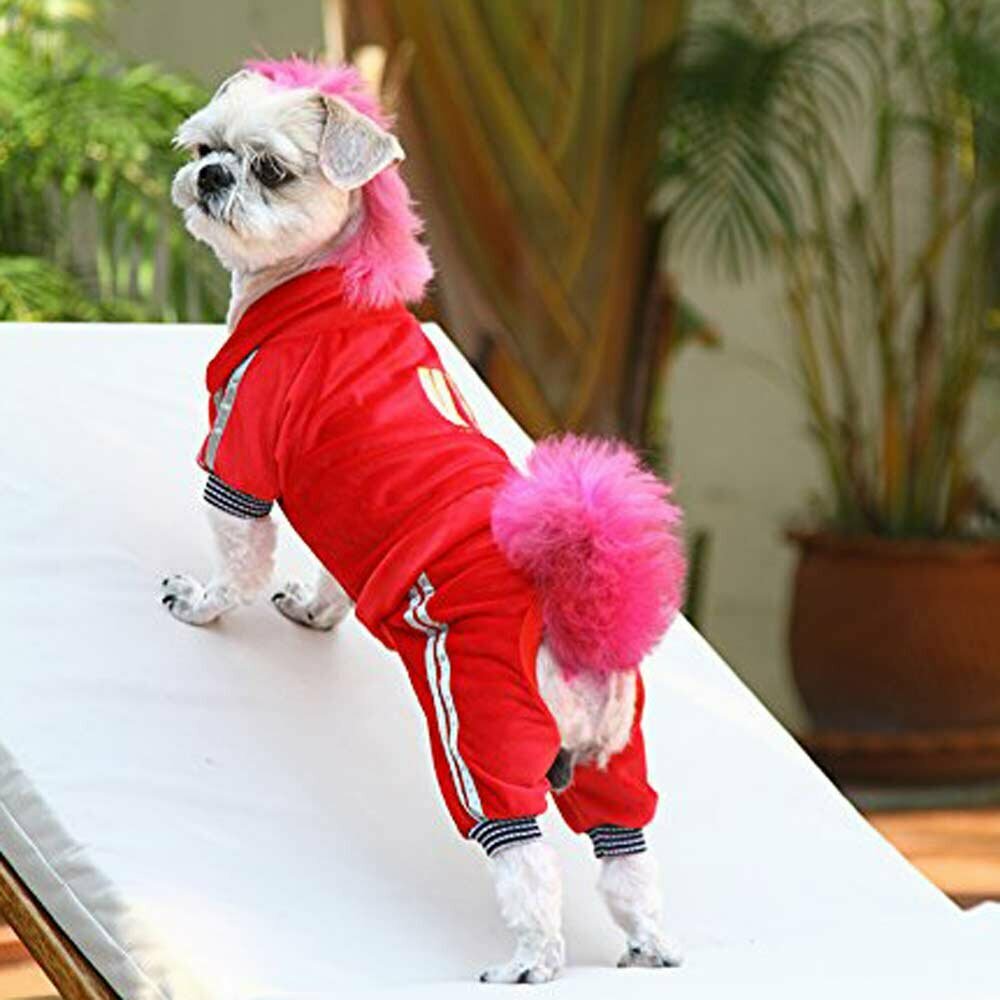 VIP dog jogger red
