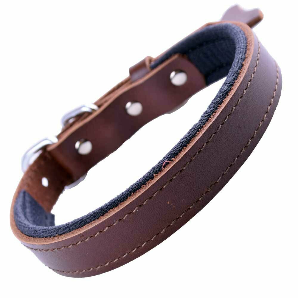 GogiPet® comfort leather dog collar brown with 40 cm