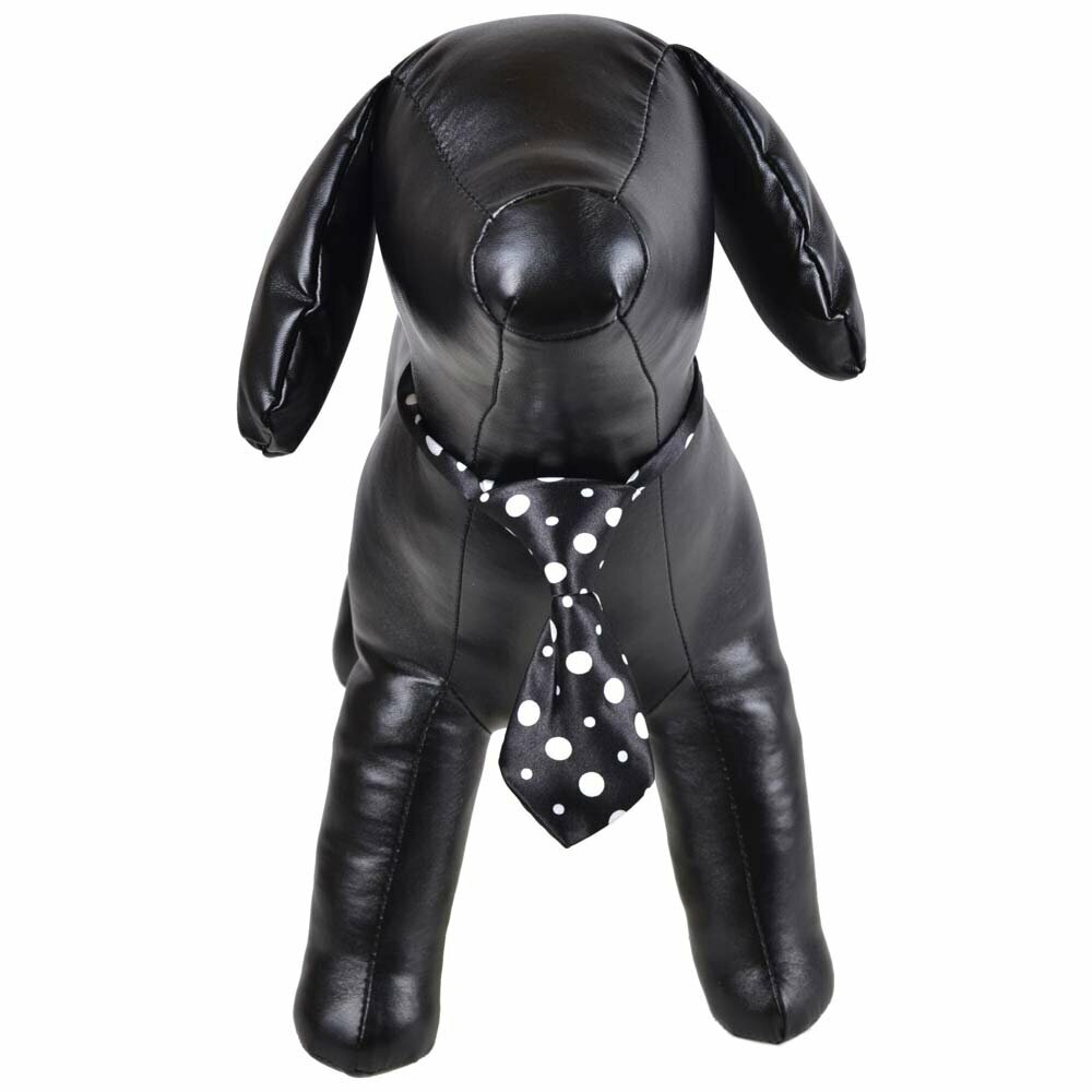 Necktie for dogs black dotted