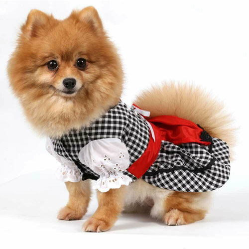 Dirndls for dogs