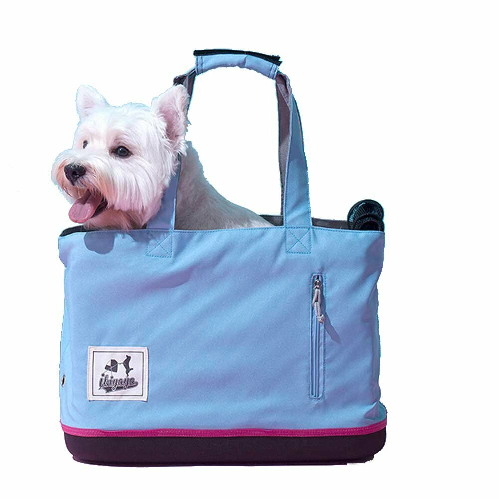 Light dog bag light blue