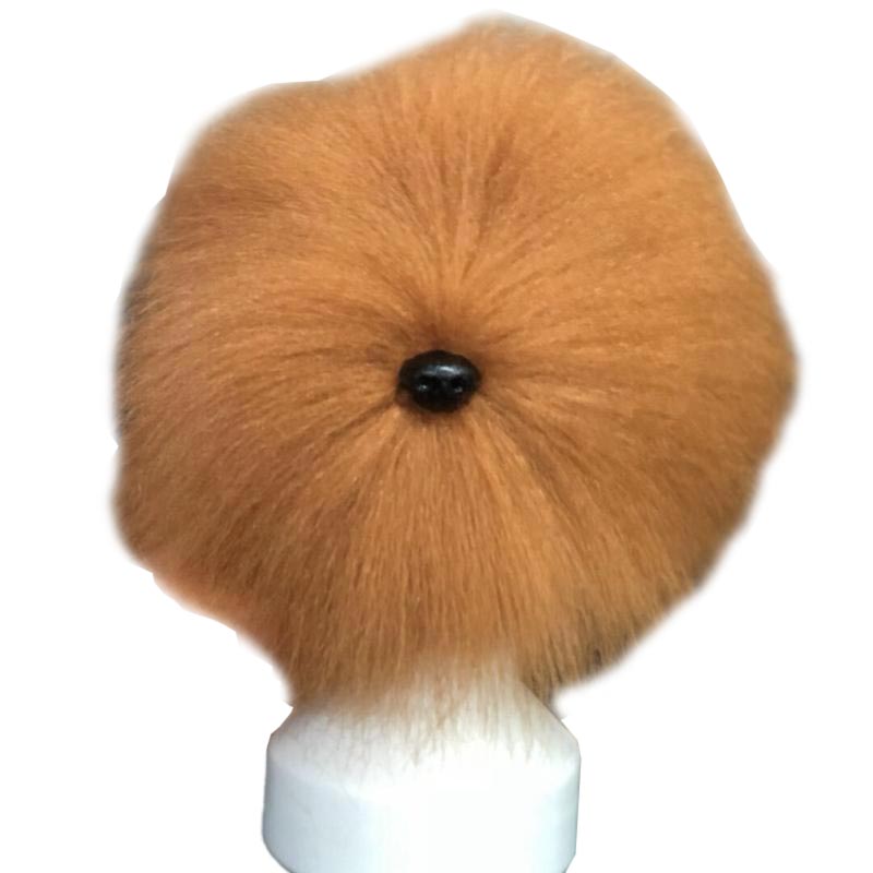 Apricot coat for practising styling dog heads
