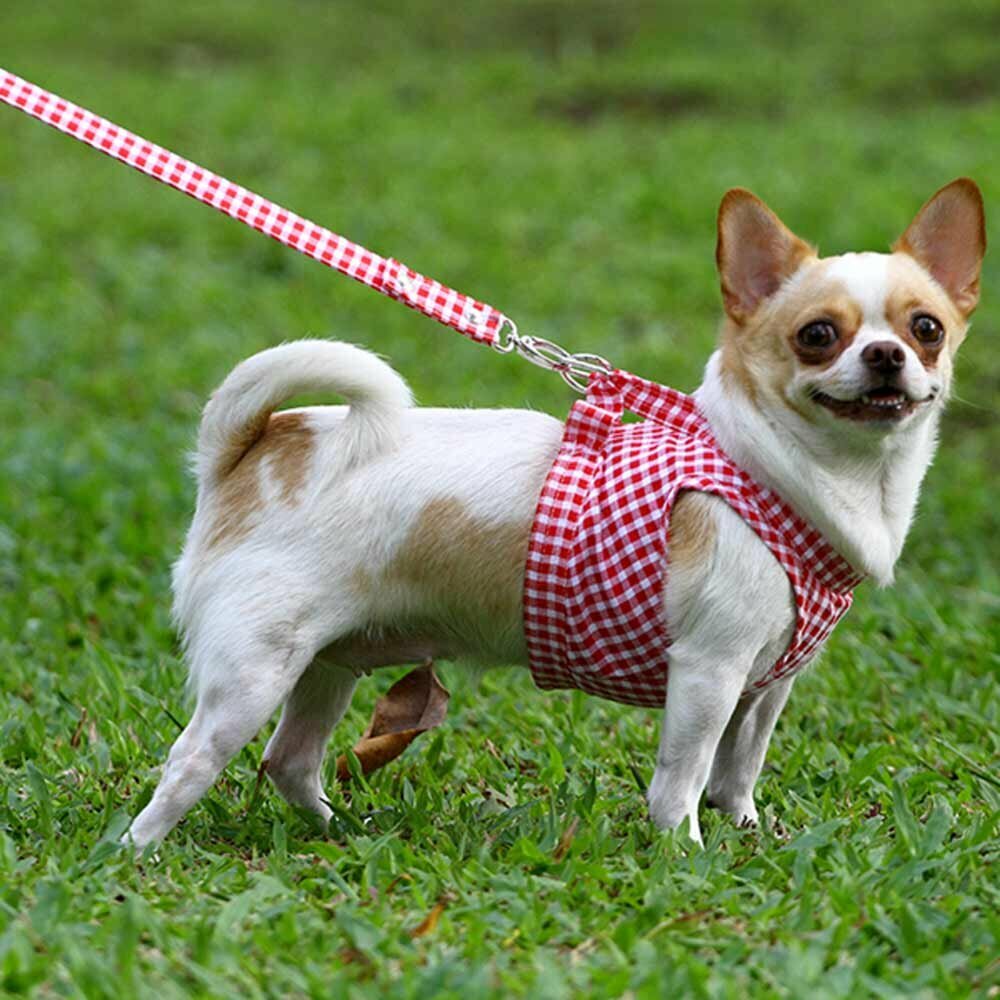 Breast Harness for Dogs white red striped - DoggyDolly DCL059