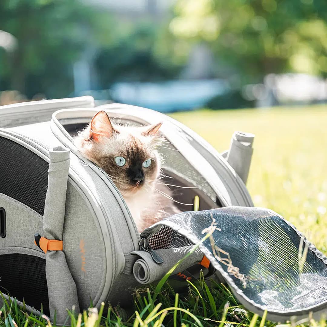 Comfortable cat backpack from GogiPet