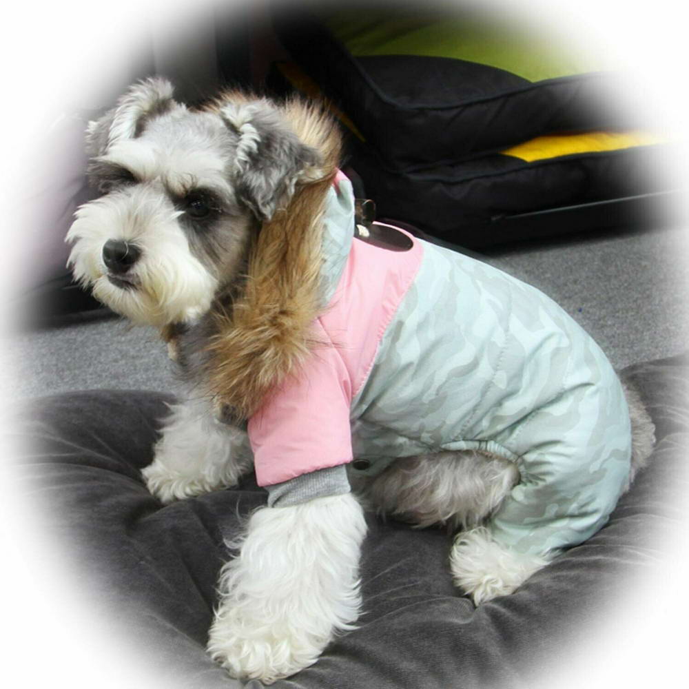 Warm dog coat with hood