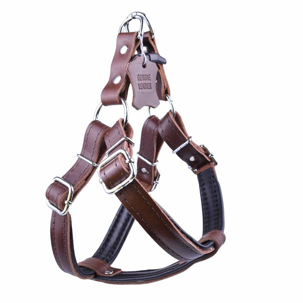 Brown genuine leather dog harness