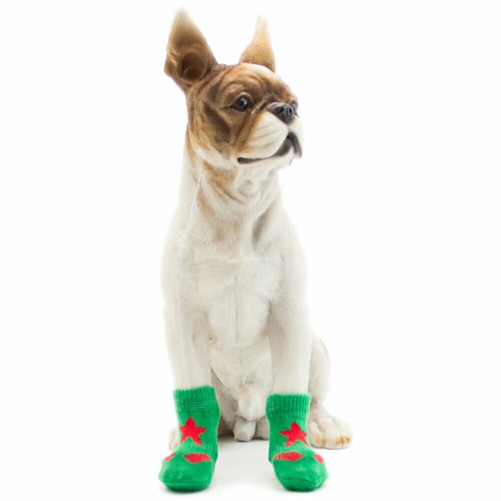 Dog socks green with red star