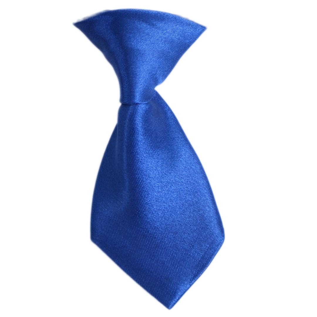 Blue self-tie for dogs