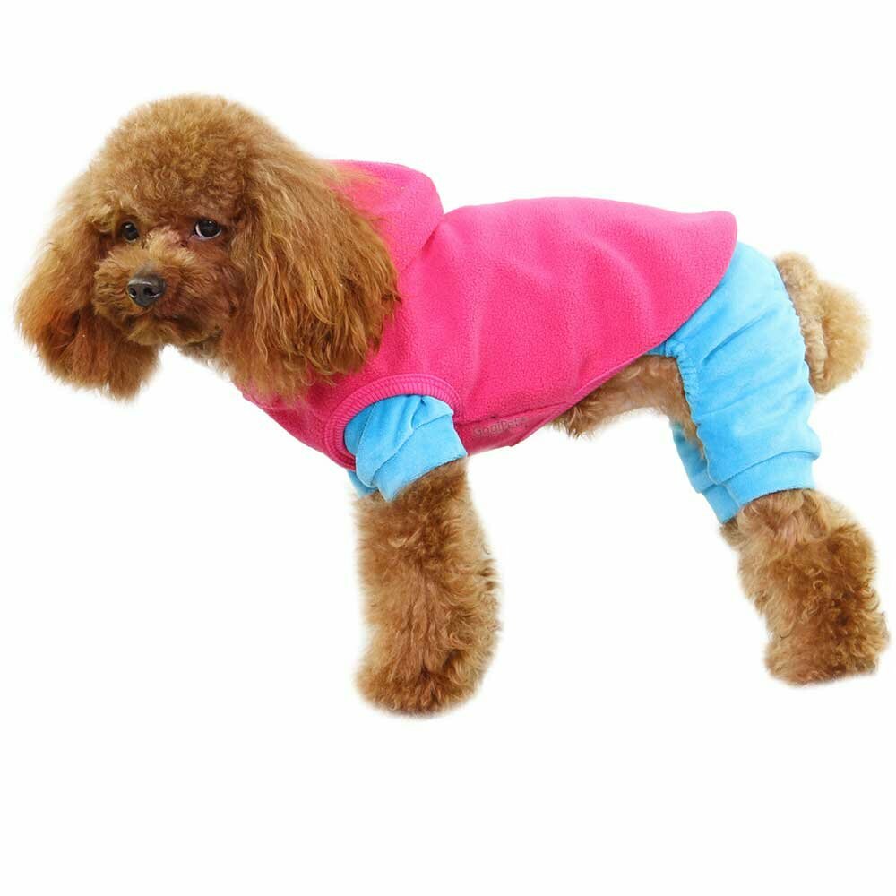 This rosa dog jumper can be super combined with any dog clothes