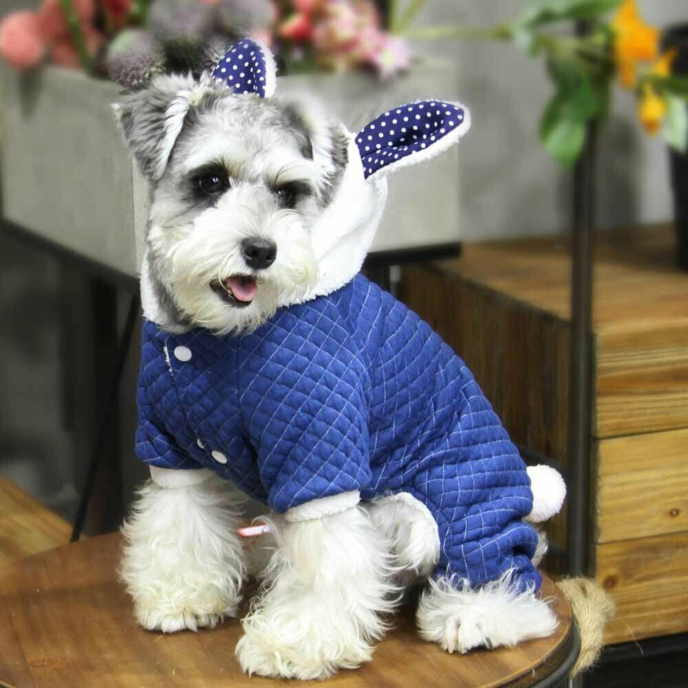 Bunny dog clothes for the winter blue