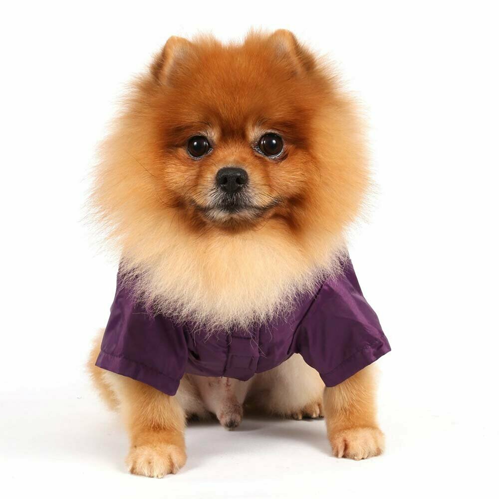 Warm dog coat for the cold winter