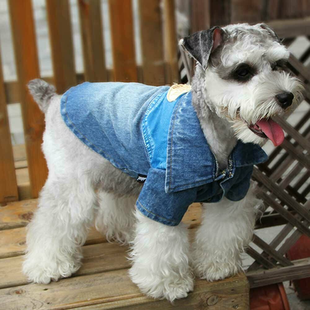 Blue jeans jacket for dogs