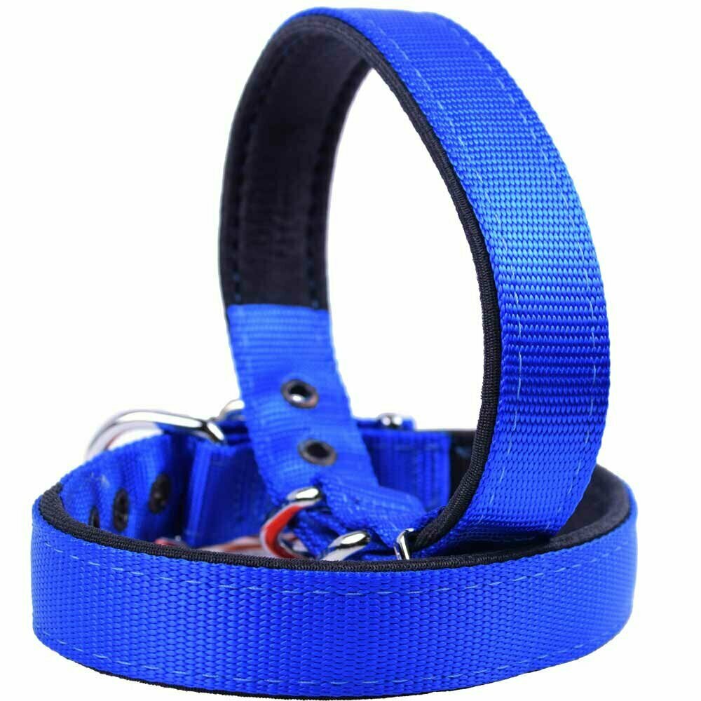 Padded GogiPet® comfort Super Premium dog collar blue