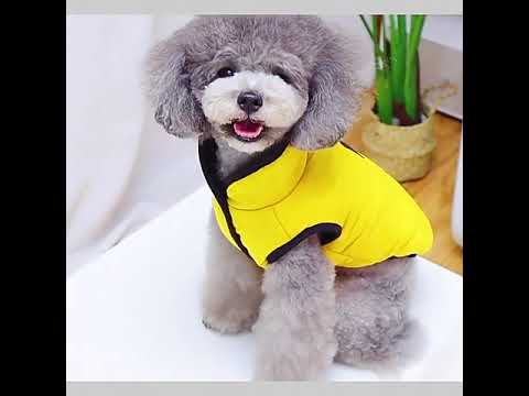 Yellow sleeveless dog parka with fluffy warm lining