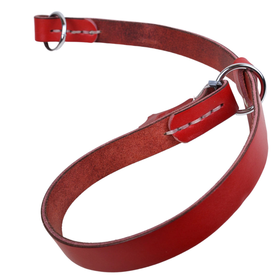 Red handmade slip collar from GogiPet®