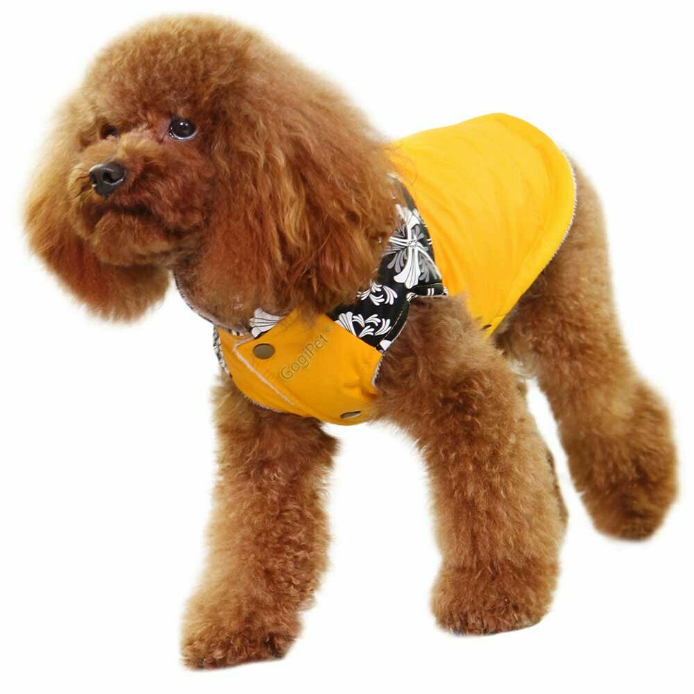Warm dog coat - Yellow Outdoor dog coat "Nancy" by GogiPet