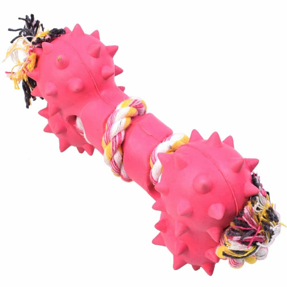 Dog chewing bone with pink toothed rope