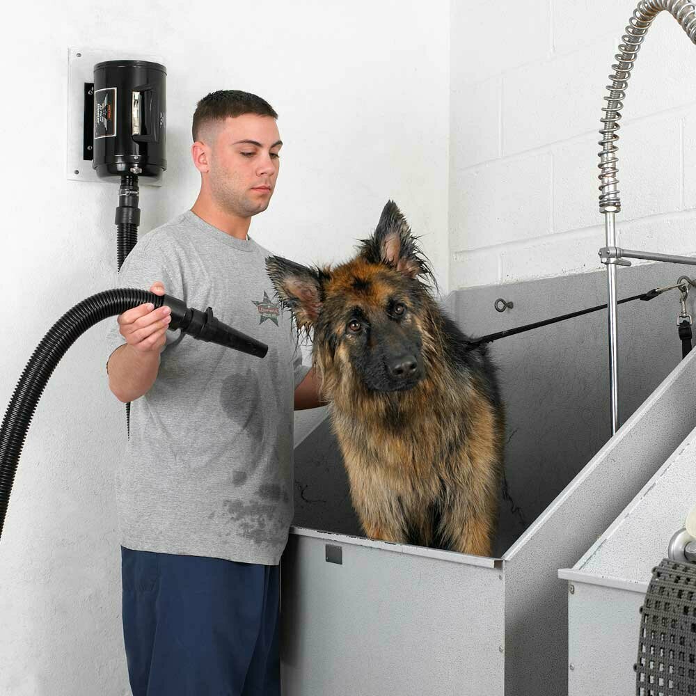 Pet dryer Metro Blaster dog dryer with separate wall bracket