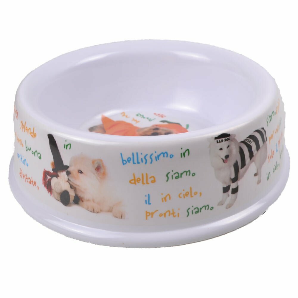 Funny feeding bowl for dogs