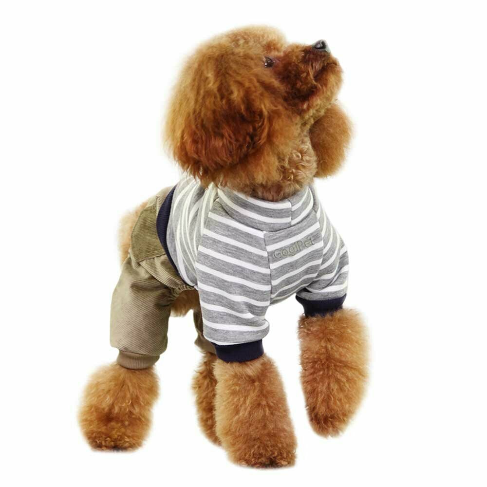 GogiPet dog clothes for fashion-conscious dog