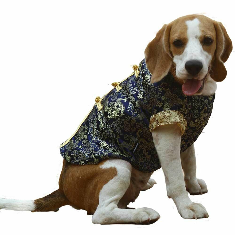Dog jacket - Chinese blue dog clothing