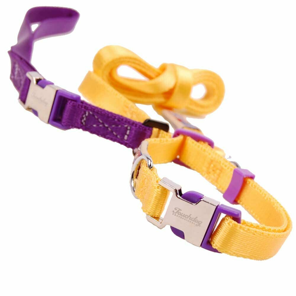 Premium dog collar with free dog leash yellow S