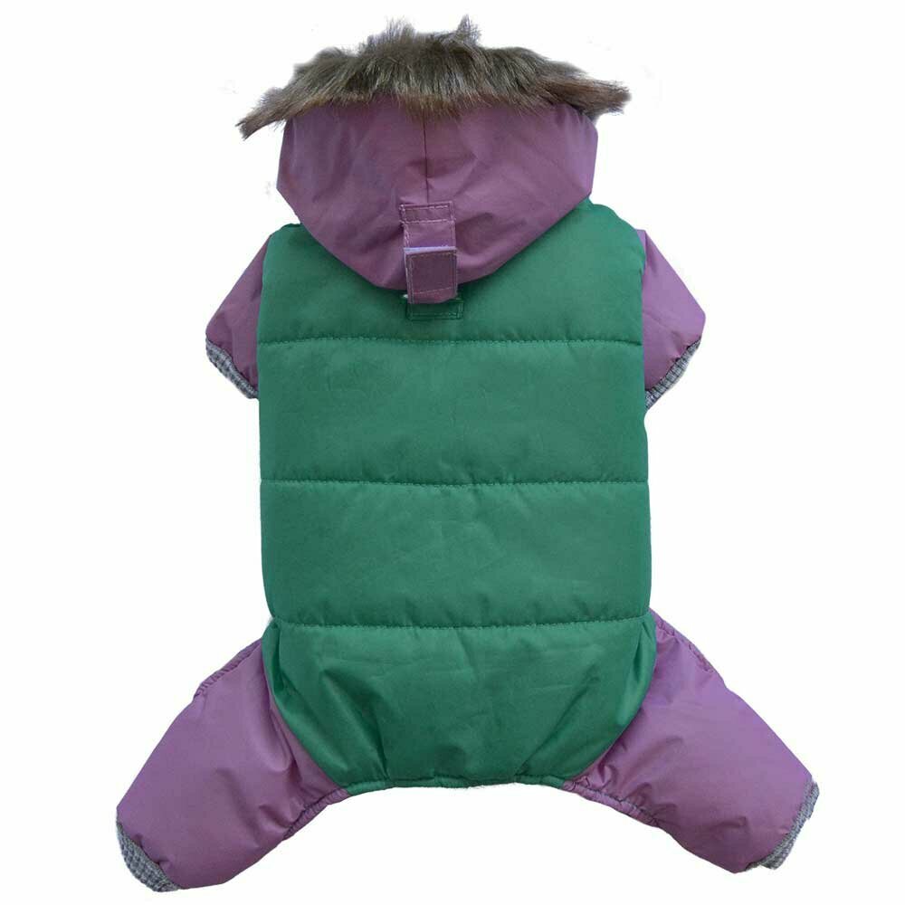 Snowsuit for dogs with 4 legs green pink of Doggydolly