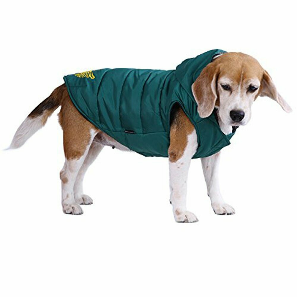 Very warm dog clothes by DoggyDolly dog fashions