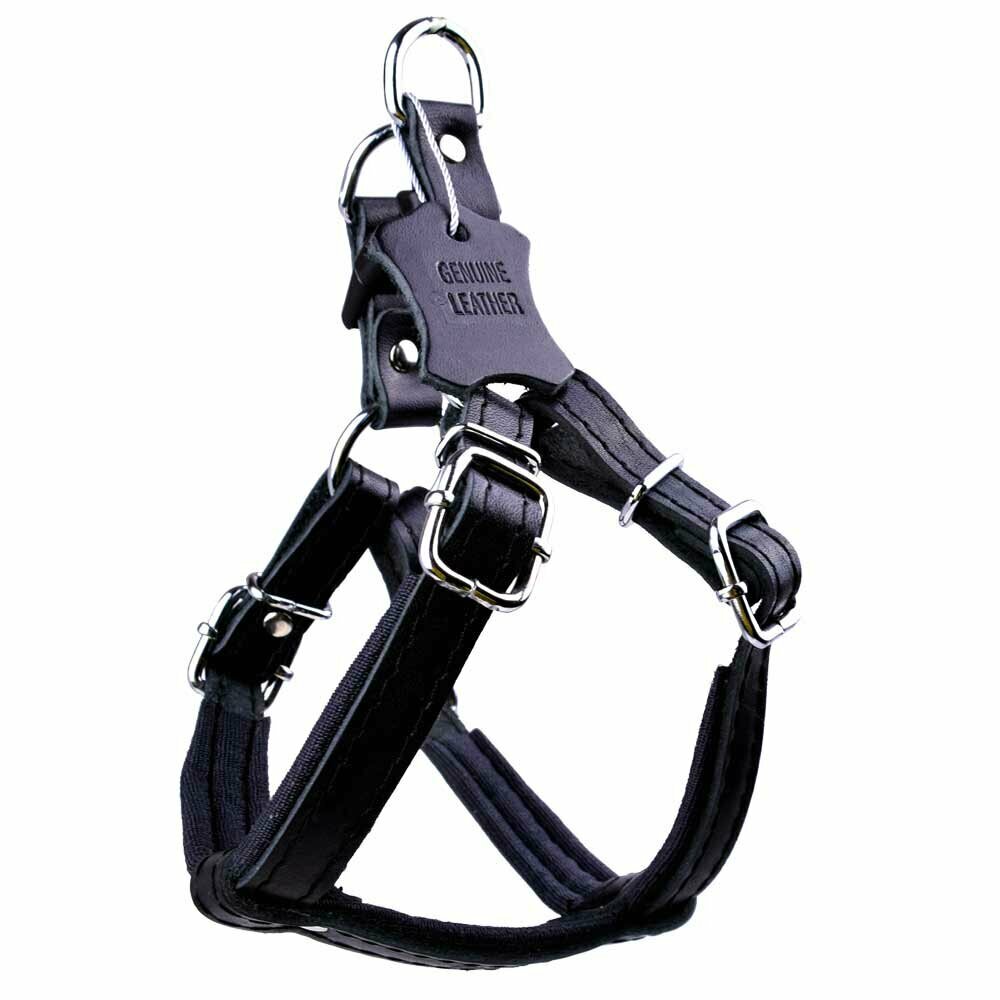 Leather dog harness black with soft lining by GogiPet