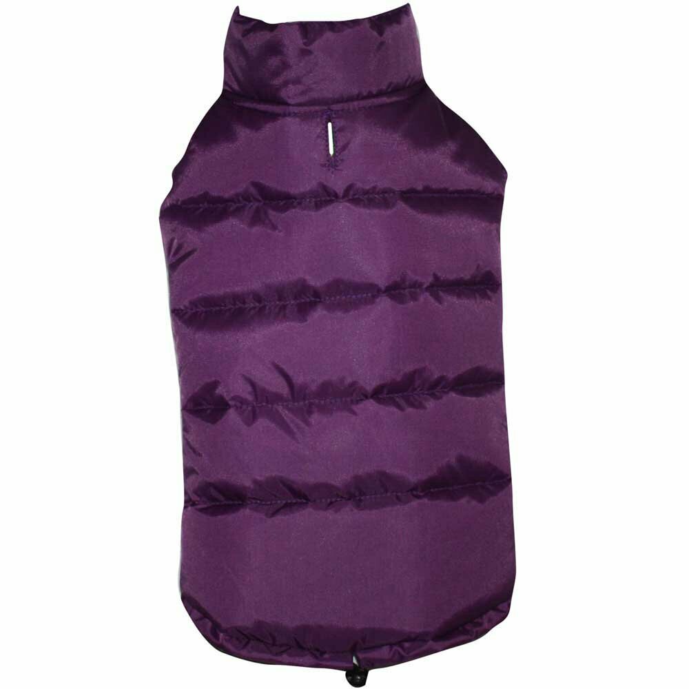 dog anorak warm purple of DoggyDolly for large dogs