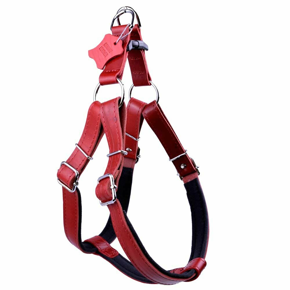 Genuine leather dog harness from GogiPet®
