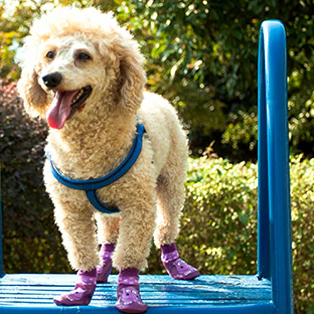 Very comfortable dog shoes with unrestricted freedom of movement