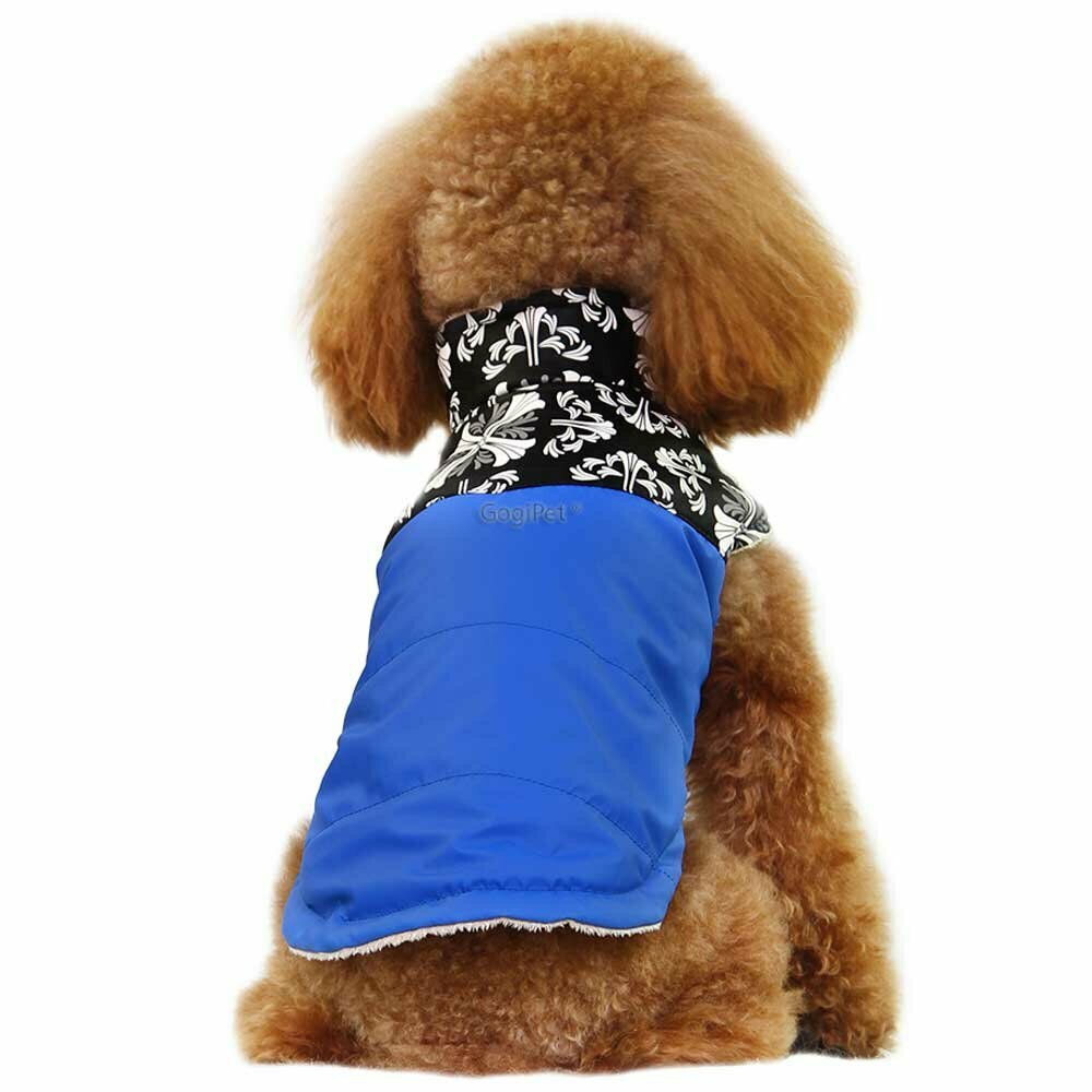 Dog clothes for winter dog coat Nancy blue