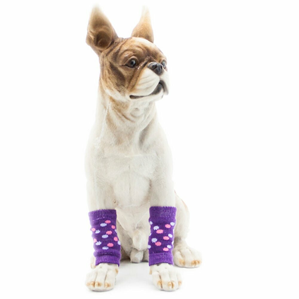 Warm dog legwarmer purple