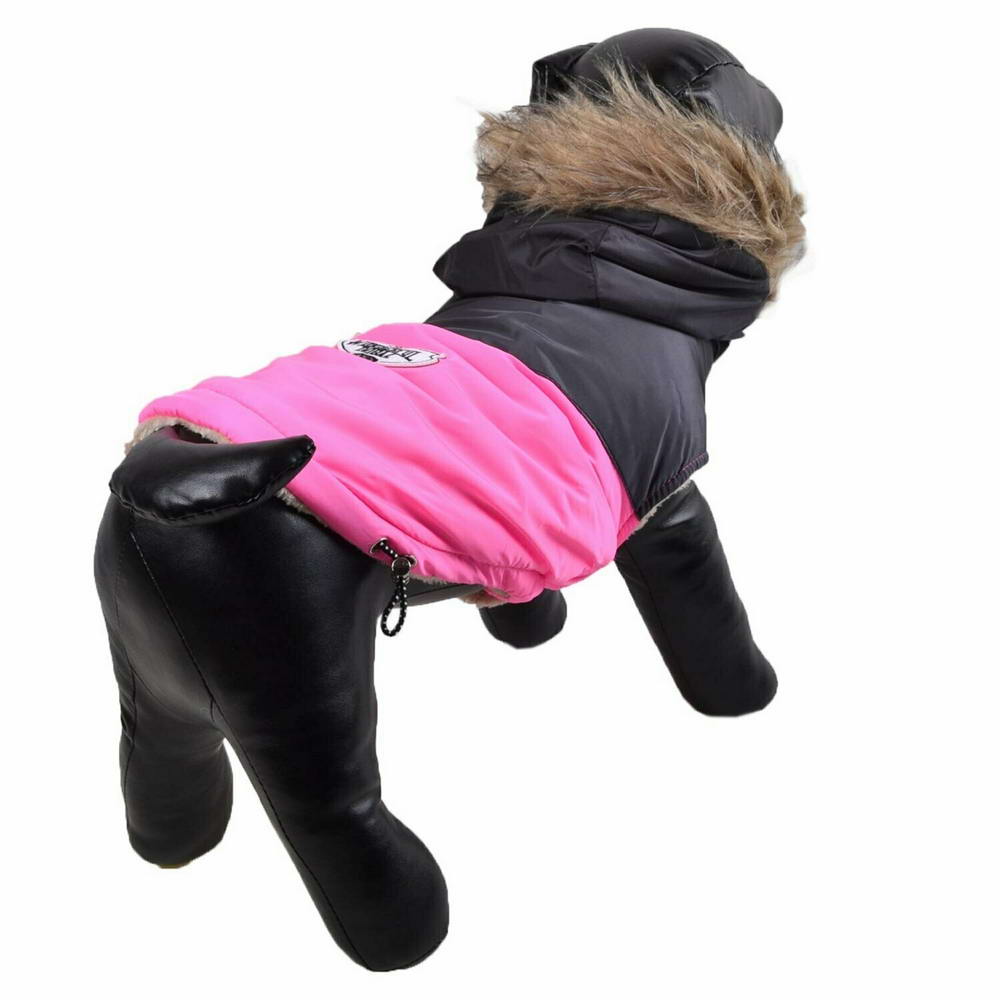 Very warm dog clothing from GogiPet