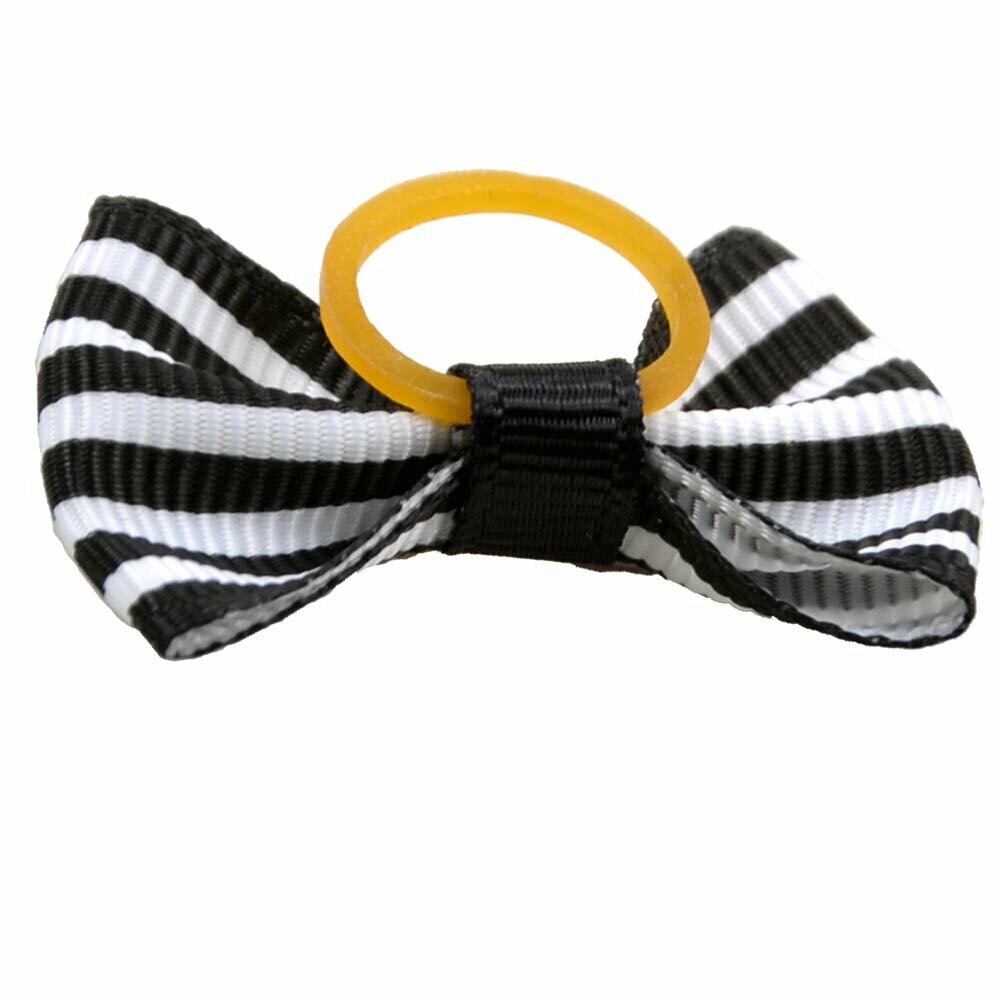 Dog hair bow rubberring black and white sriped by GogiPet