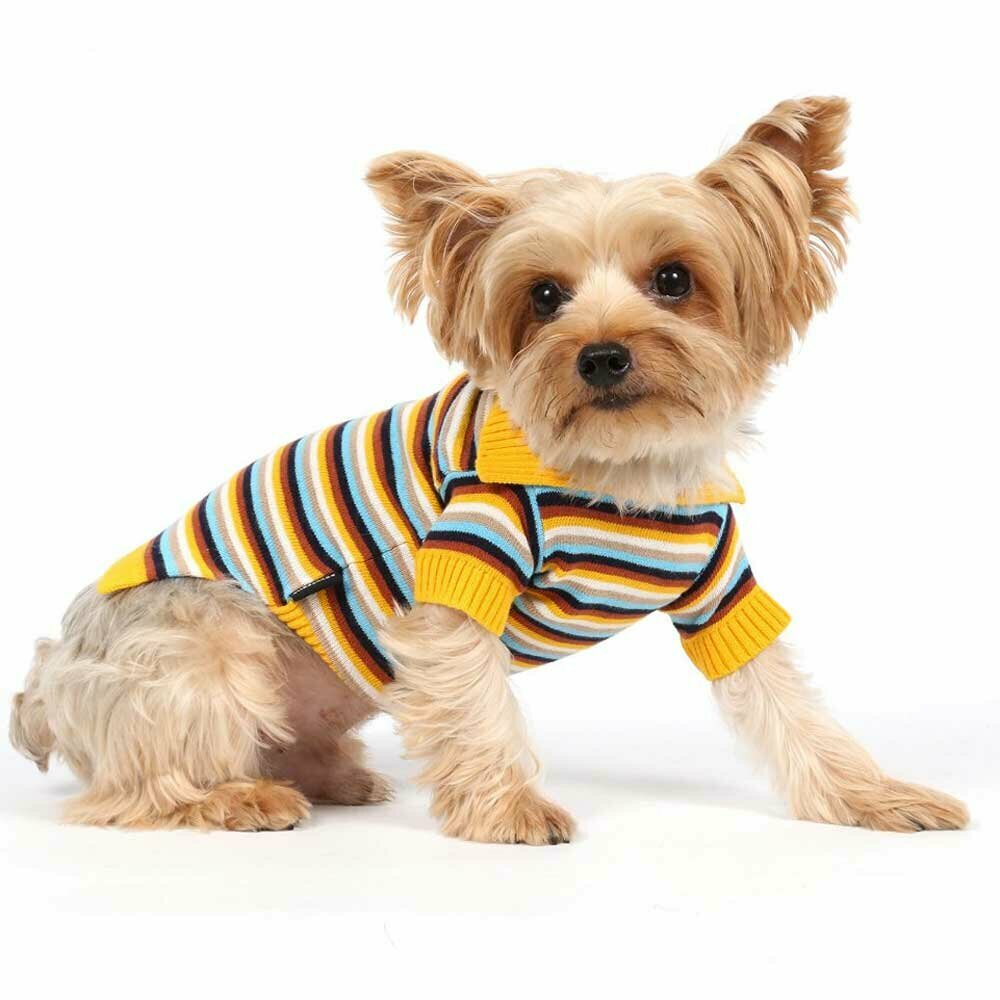 Warm dog clothes - Knitted sweaters for dogs