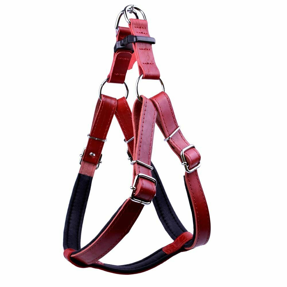 GogiPet® comfort leather chest harness red XL