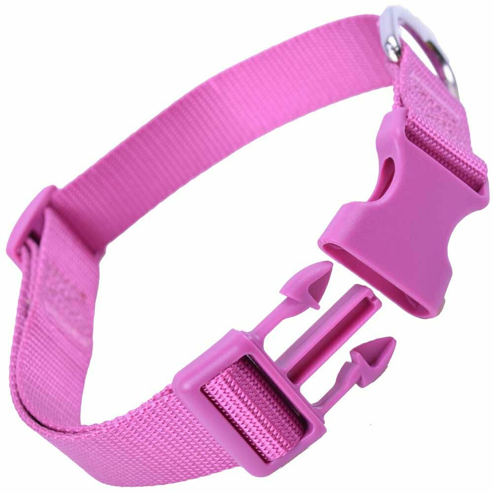 Quick release dog collar purple in super premium quality