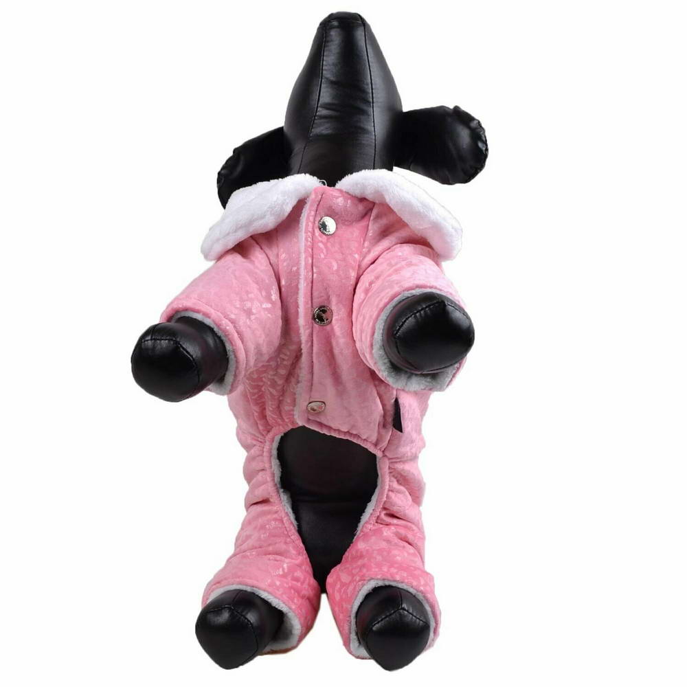 Warm dog gear for small dogs
