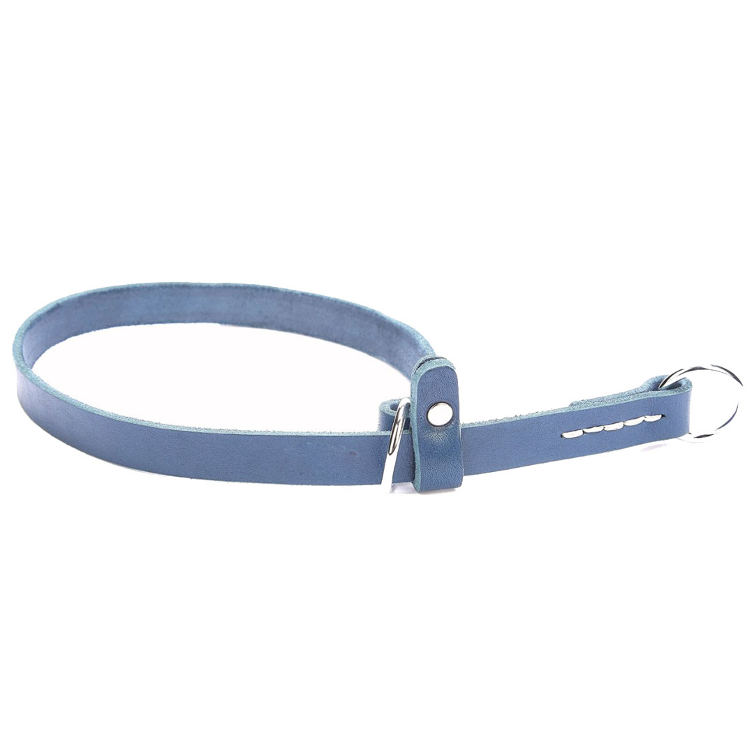 Pull collar for dogs with safety flap