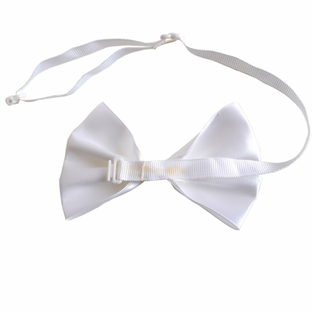 Whtie dog bow tie with quick release