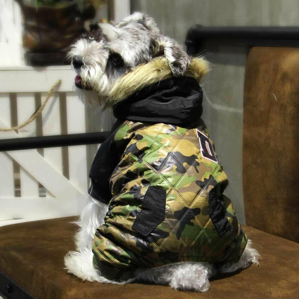 Army jacket for dogs for dogs "Hanka