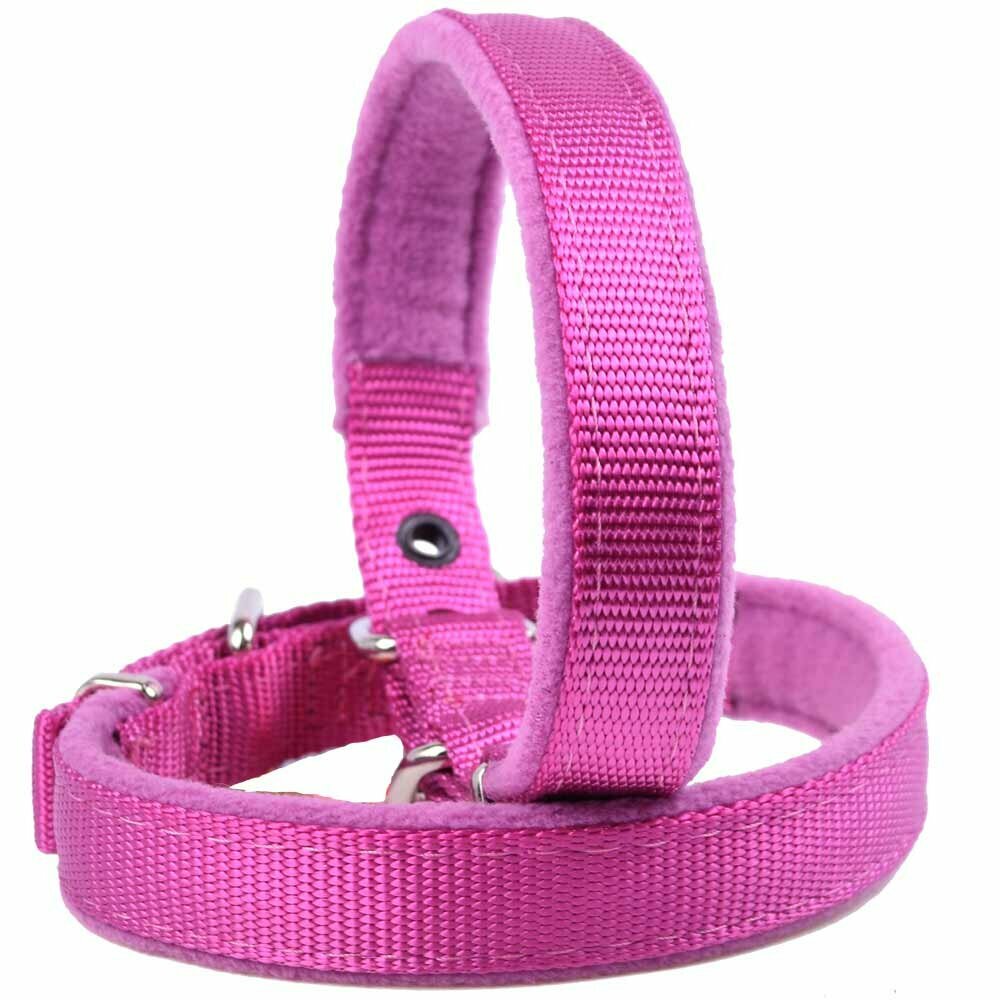 Cuddly soft dog collar lined with soft fleece