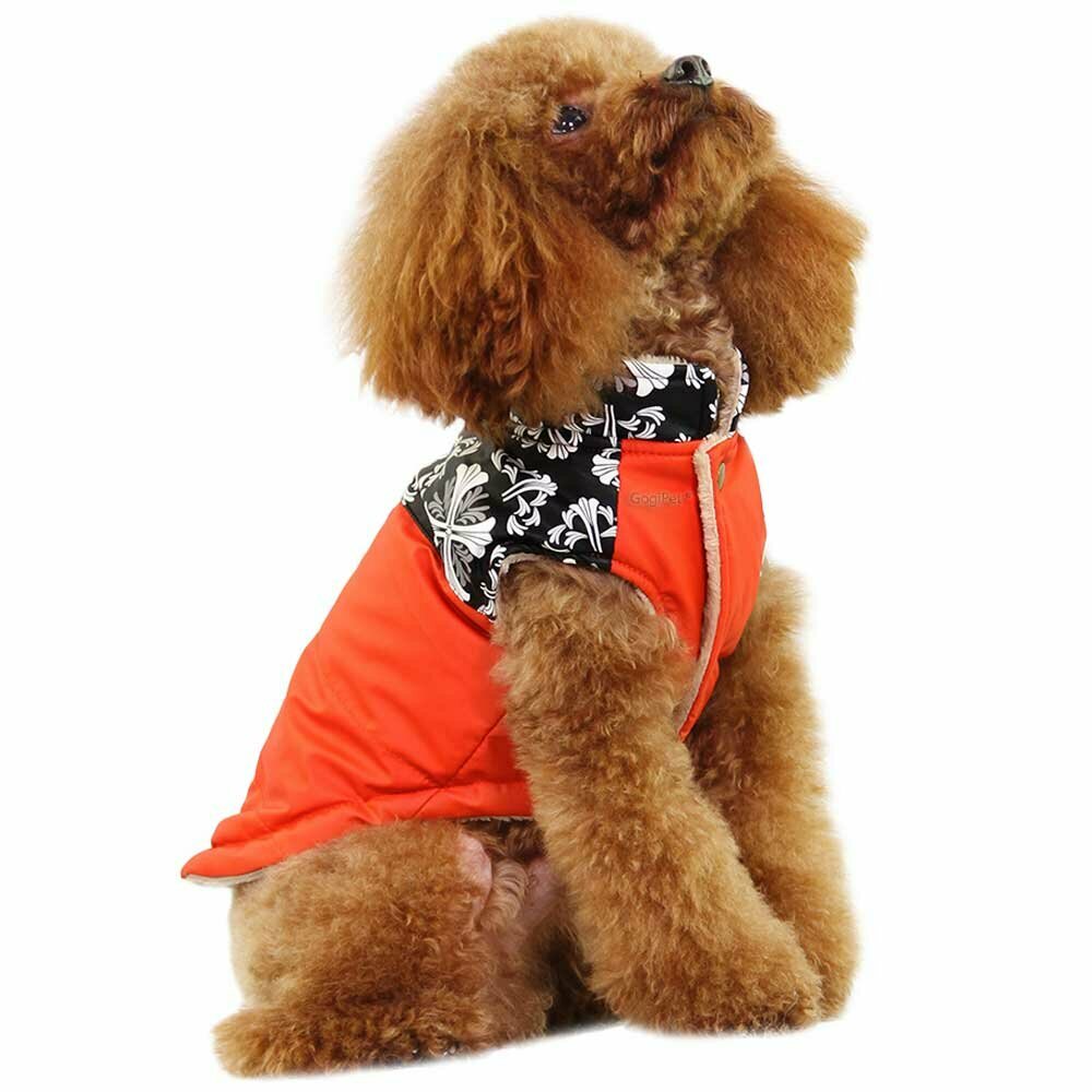 Warm dog coat - Orange Outdoor dog coat "Nancy" by GogiPet