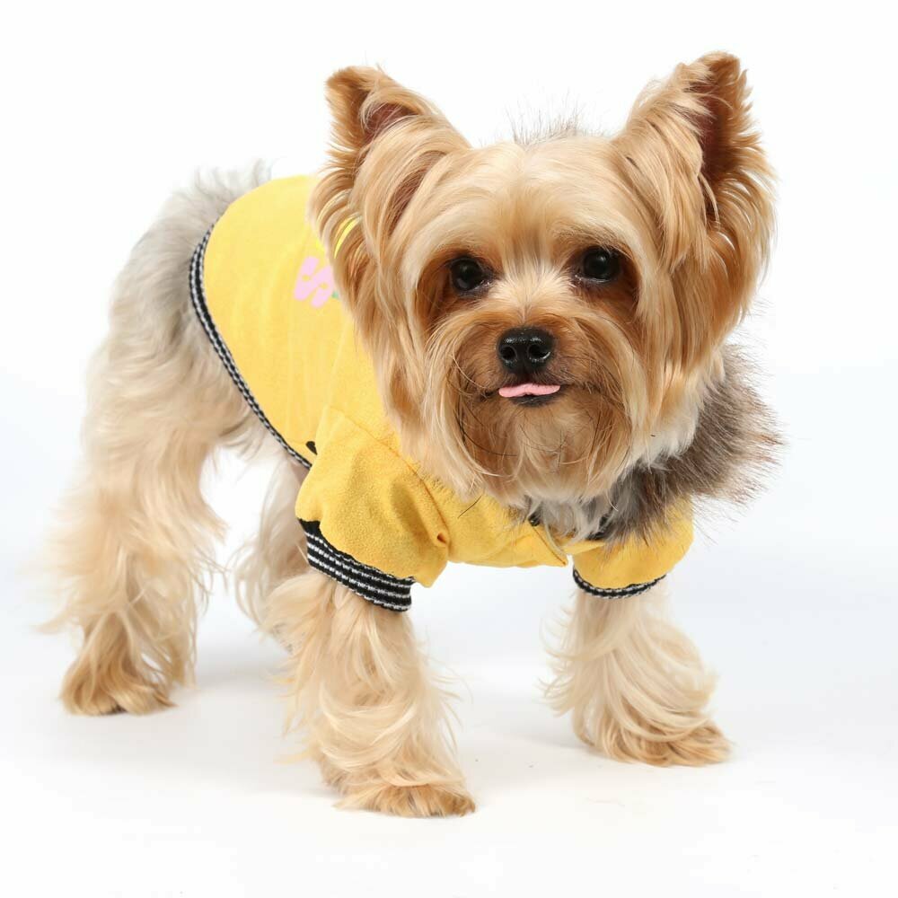 dog jacket in suede look yellow